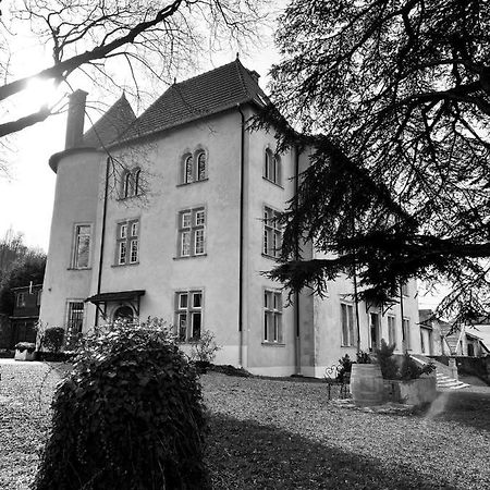 Bed&Breakfast Le Château de Morey Belleau Exterior foto